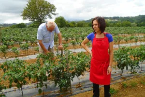 2015-08-Sud-Ouest-France-002