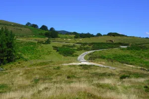 2015-08-Sud-Ouest-France-008