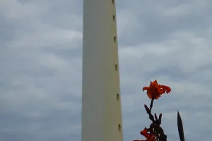 2015-08-Sud-Ouest-France-017