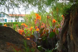 2015-08-Sud-Ouest-France-018