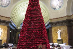 2015-11-Wiesbaden-011