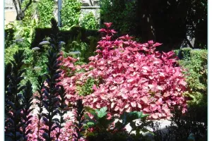 2016-05-Le-Guadalqivir-013