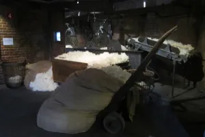 2017-09-Laine-et-Chocolat-013