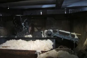 2017-09-Laine-et-Chocolat-014