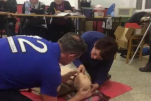 2018-01-Les-Gestes-010