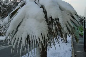 2018-02-Menton-Nice-010