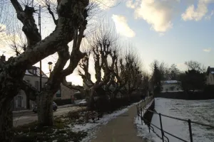 2018-02-Menton-Nice-035