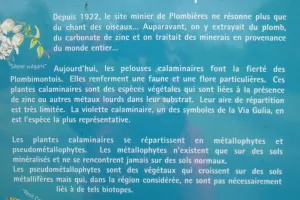 2018-04-Plombieres-016