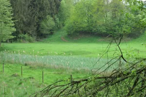 2018-04-Plombieres-022