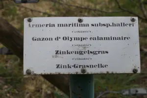 2018-04-Plombieres-025