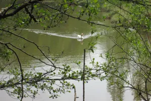 2018-04-Plombieres-031