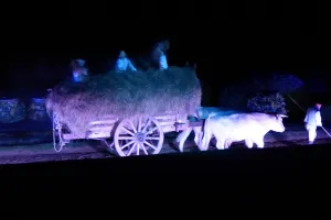 2018-08-Puy-du-Fou-031