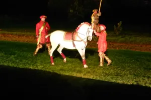 2018-08-Puy-du-Fou-032