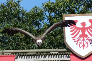 2018-08-Puy-du-Fou-052