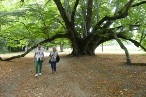 2021-09-La-Touraine-026