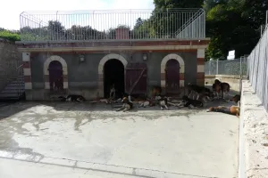 2021-09-La-Touraine-028