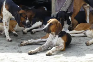 2021-09-La-Touraine-029