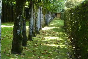 2021-09-La-Touraine-042