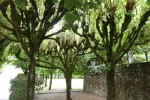 2021-09-La-Touraine-043