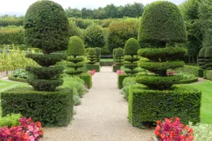 2021-09-La-Touraine-044