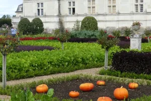 2021-09-La-Touraine-050