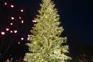 2021-11-Copenhague-015