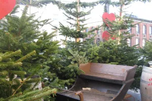 2021-11-Copenhague-064