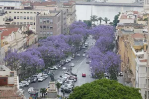 2023-06-Sardaigne-176