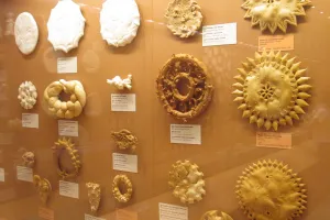 2023-06-Sardaigne-189