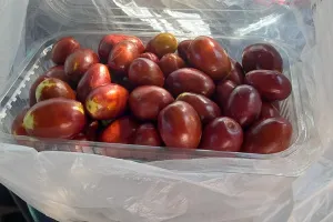 2023-09-Montenegro-026