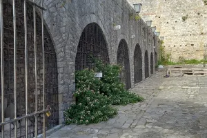 2023-09-Montenegro-060