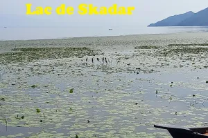 2023-09-Montenegro-065