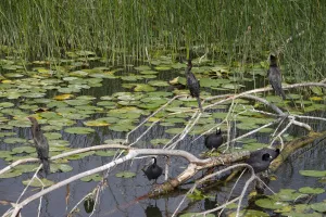 2023-09-Montenegro-068