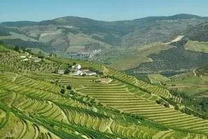 2024-09-Le-Douro-009