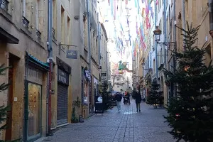 A-0063_Nicole_Baguette