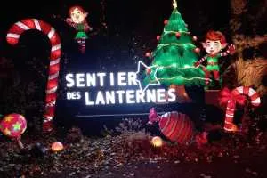 A-0070_Nicole_Baguette