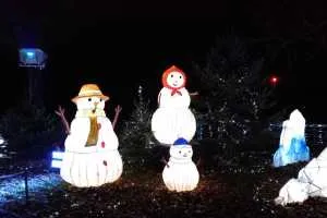 A-0071_Nicole_Baguette