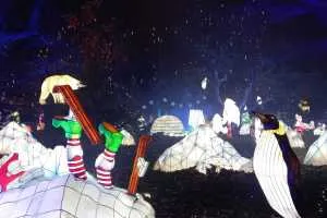 A-0072_Nicole_Baguette