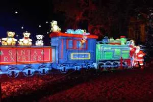 A-0074_Nicole_Baguette