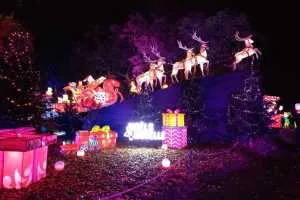 A-0077_Nicole_Baguette