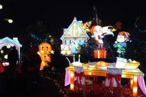 A-0078_Nicole_Baguette