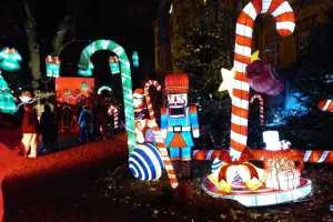 A-0079_Nicole_Baguette