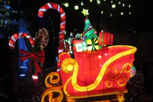 A-0081_Nicole_Baguette