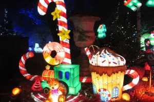 A-0082_Nicole_Baguette