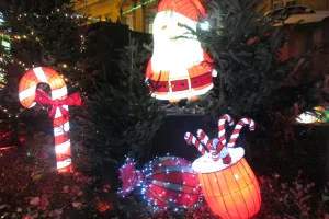 A-0083_Nicole_Baguette