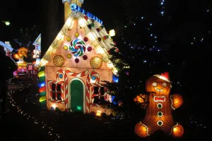 A-0085_Nicole_Baguette