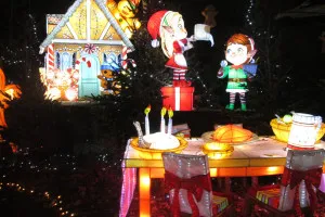 A-0087_Nicole_Baguette