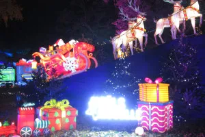 A-0090_Nicole_Baguette