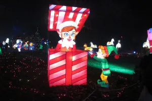 A-0091_Nicole_Baguette