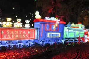 A-0093_Nicole_Baguette